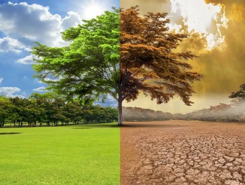 Victimes du climat